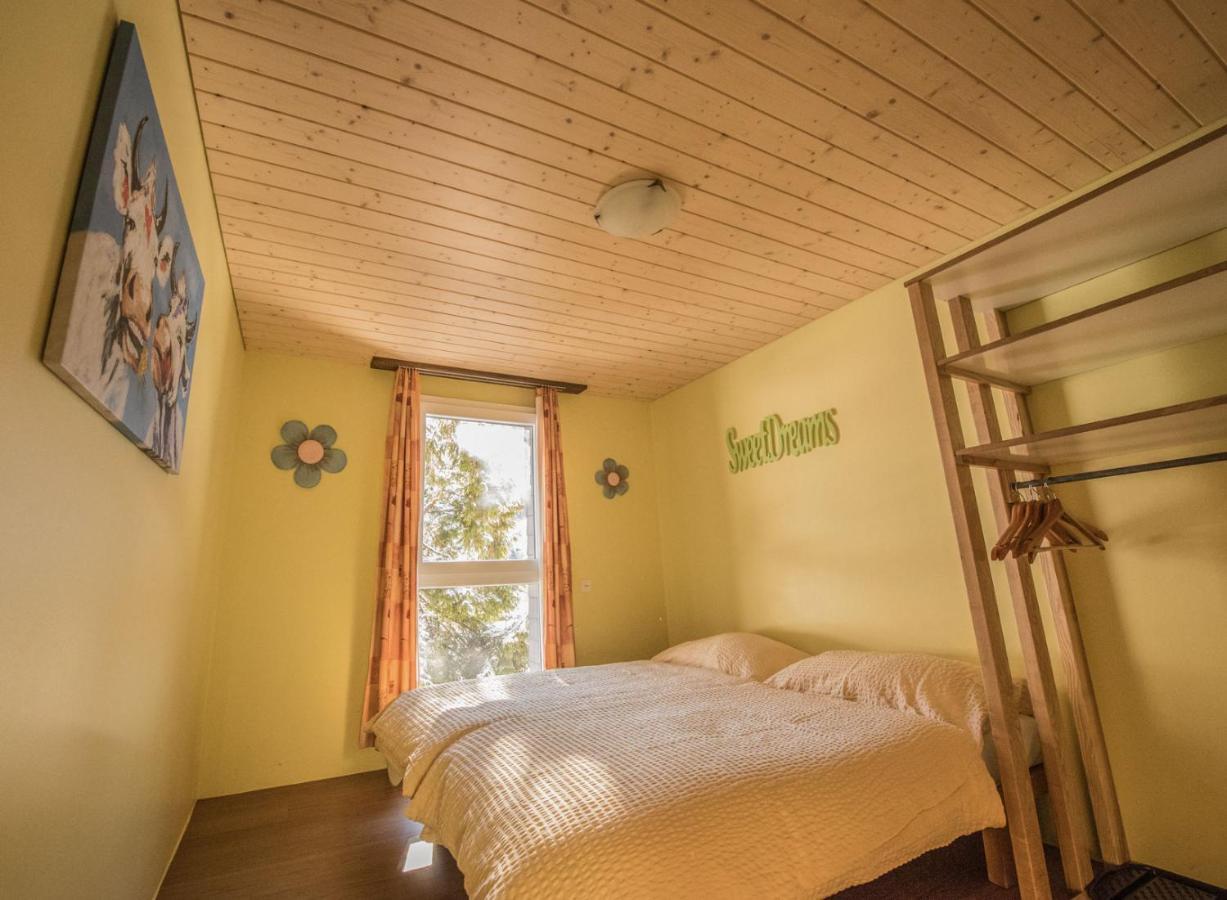 Ostello Schutzenbach Backpackers For Adults 18-35 Lauterbrunnen Esterno foto